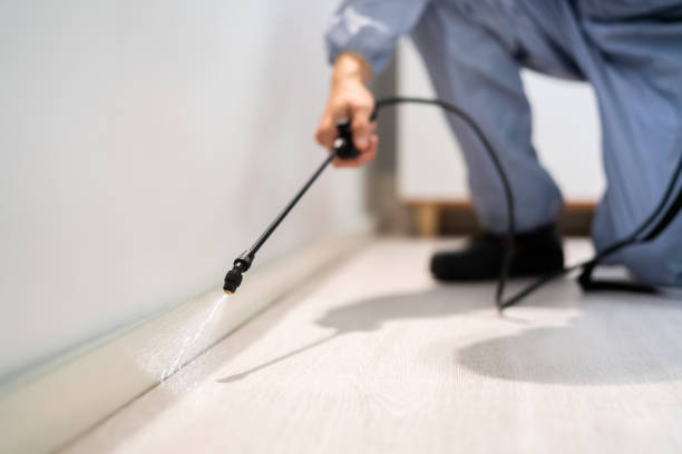 Licensed Termite Control service in Osceola, MO - Show Me Pest Control